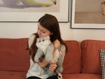 Silver British Shorthair Cat Plush