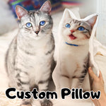 Custom DIY Pillow for Pets