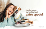 Custom DIY Pillow for Pets