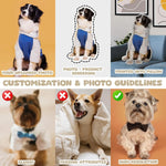 Custom DIY Pillow for Pets