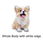 Custom DIY Pillow for Pets