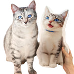 Custom DIY Pillow for Pets