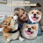 Custom DIY Pillow for Pets