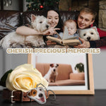 Custom DIY Pillow for Pets